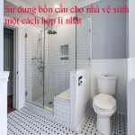 Sử dụng bồn cầu cho nhà vệ sinh một cách hợp lí nhất